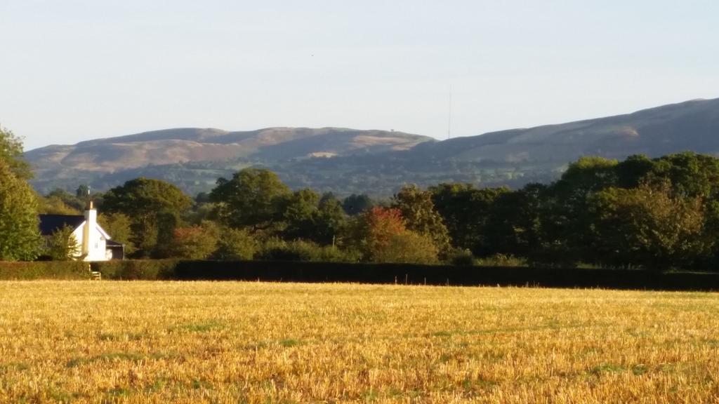Ty Derw Country House B&B Ruthin Exteriér fotografie