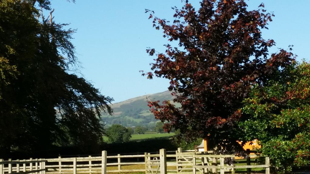 Ty Derw Country House B&B Ruthin Exteriér fotografie
