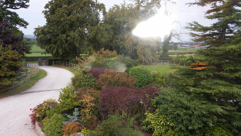 Ty Derw Country House B&B Ruthin Pokoj fotografie